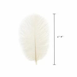 Zucker Ostrich Feather (Ivory)