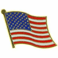 Eagle Emblems Patriotic American Flag Pin