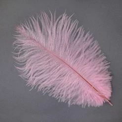 Zucker Embellishments Ostrich Feather (Light Pink)