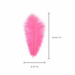 Zucker Ostrich Feather (Hot Pink) Embellishments
