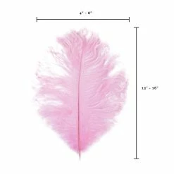 Zucker Embellishments Ostrich Feather (Light Pink)
