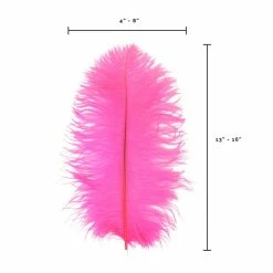 Zucker Ostrich Feather (Hot Pink) Embellishments