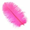 Zucker Ostrich Feather (Hot Pink) Embellishments