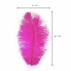 Zucker Ostrich Feather (Shocking Pink) Embellishments 13 Zucker Ostrich Feather (Shocking Pink) Embellishments