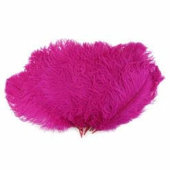 Zucker Ostrich Feather (Shocking Pink) Embellishments 15 Zucker Ostrich Feather (Shocking Pink) Embellishments