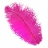 Zucker Ostrich Feather (Shocking Pink) Embellishments