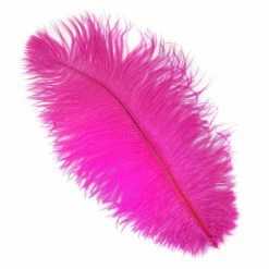 Zucker Ostrich Feather (Shocking Pink) Embellishments