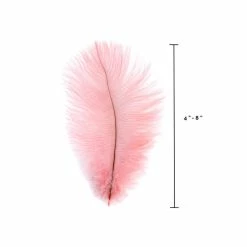Zucker Embellishments Ostrich Feather (Light Pink)