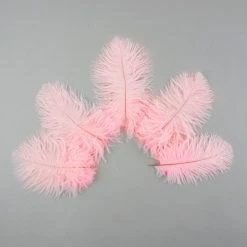 Zucker Embellishments Ostrich Feather (Light Pink)