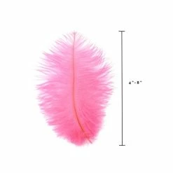 Zucker Ostrich Feather (Hot Pink) Embellishments
