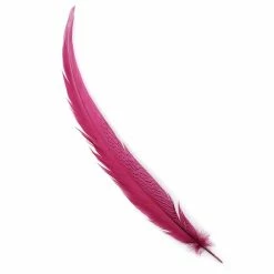 Zucker Pheasant Feather