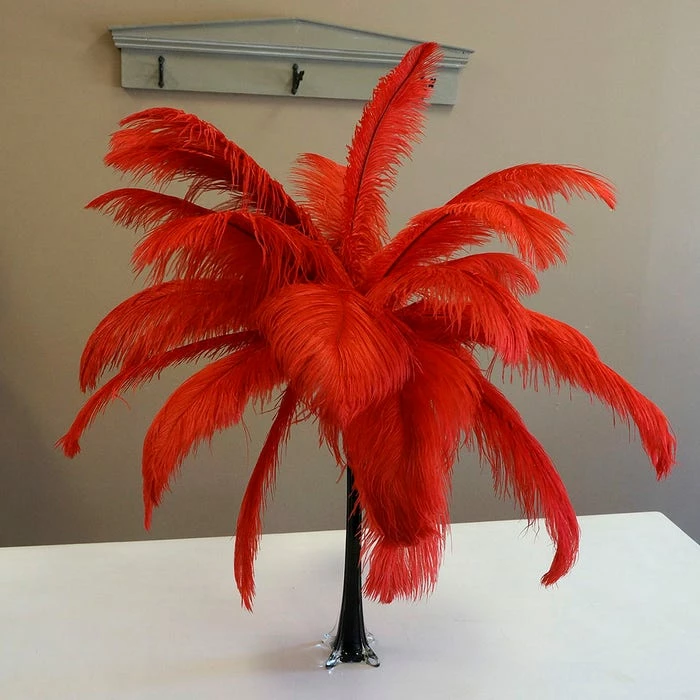 Zucker Ostrich Feather (Red) Embellishments 7 Zucker Ostrich Feather (Red) Embellishments