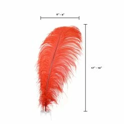 Zucker Ostrich Feather (Red) Embellishments