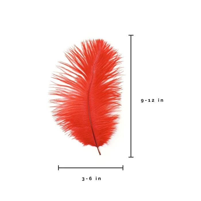 Zucker Ostrich Feather (Red) Embellishments 10 Zucker Ostrich Feather (Red) Embellishments