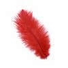 Zucker Ostrich Feather (Red) Embellishments