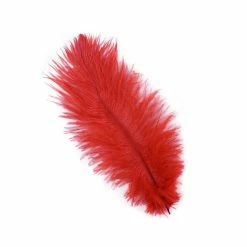 Zucker Ostrich Feather (Red) Embellishments