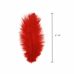 Zucker Ostrich Feather (Red) Embellishments 14 Zucker Ostrich Feather (Red) Embellishments