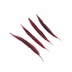 Zucker Pheasant Feather