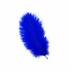 Zucker Ostrich Feather (Royal Blue) Embellishments