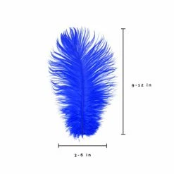 Zucker Ostrich Feather (Royal Blue) Embellishments