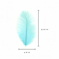 Zucker Embellishments Ostrich Feather (Light Turquoise)