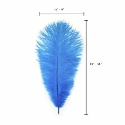 Zucker Ostrich Feather (Dark Turquoise) Embellishments