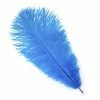 Zucker Ostrich Feather (Dark Turquoise) Embellishments