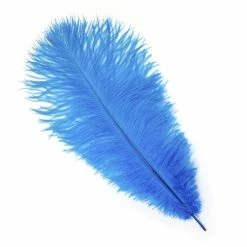 Zucker Ostrich Feather (Dark Turquoise) Embellishments