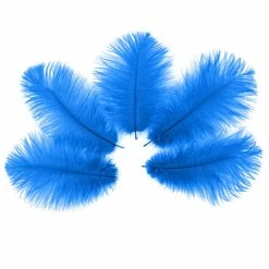 Zucker Ostrich Feather (Dark Turquoise) Embellishments