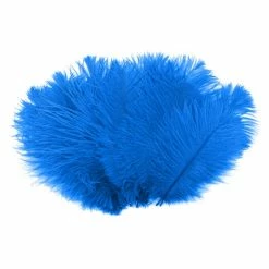 Zucker Ostrich Feather (Dark Turquoise) Embellishments