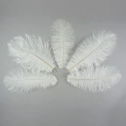 Zucker Embellishments Ostrich Feather (White)