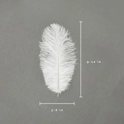 Zucker Embellishments Ostrich Feather (White)