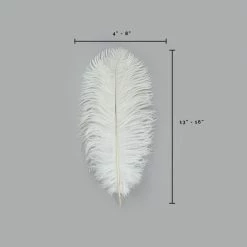 Zucker Embellishments Ostrich Feather (White)