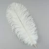 Zucker Embellishments Ostrich Feather (White)
