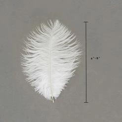 Zucker Embellishments Ostrich Feather (White)